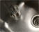 Adaptacin para fregar vasos
